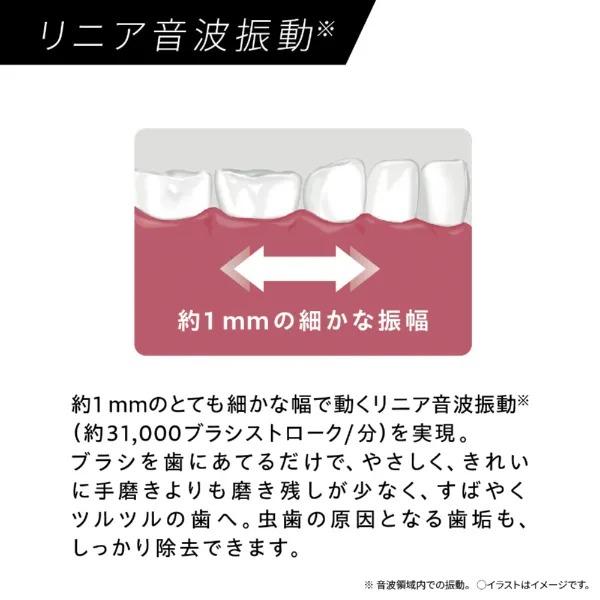 Panasonic（パナソニック） 電動歯ブラシ ドルツ 音波振動 ハブラシ EW