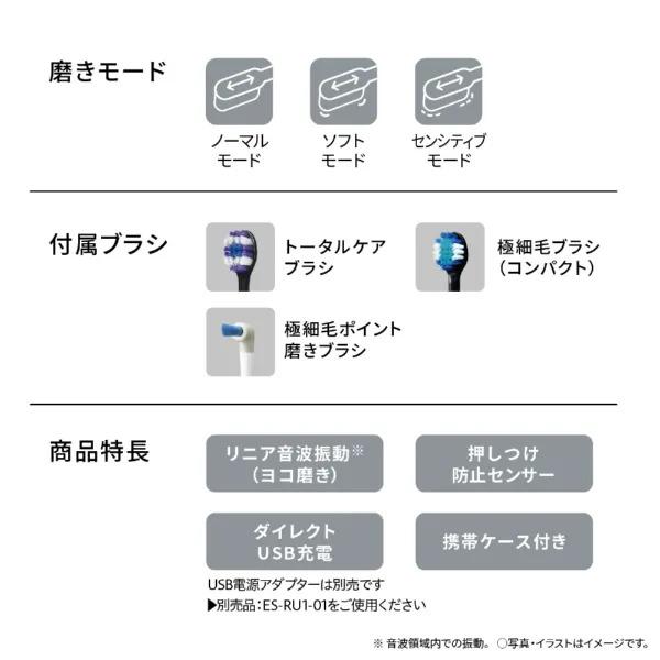 Panasonic（パナソニック） 電動歯ブラシ ドルツ 音波振動 ハブラシ EW