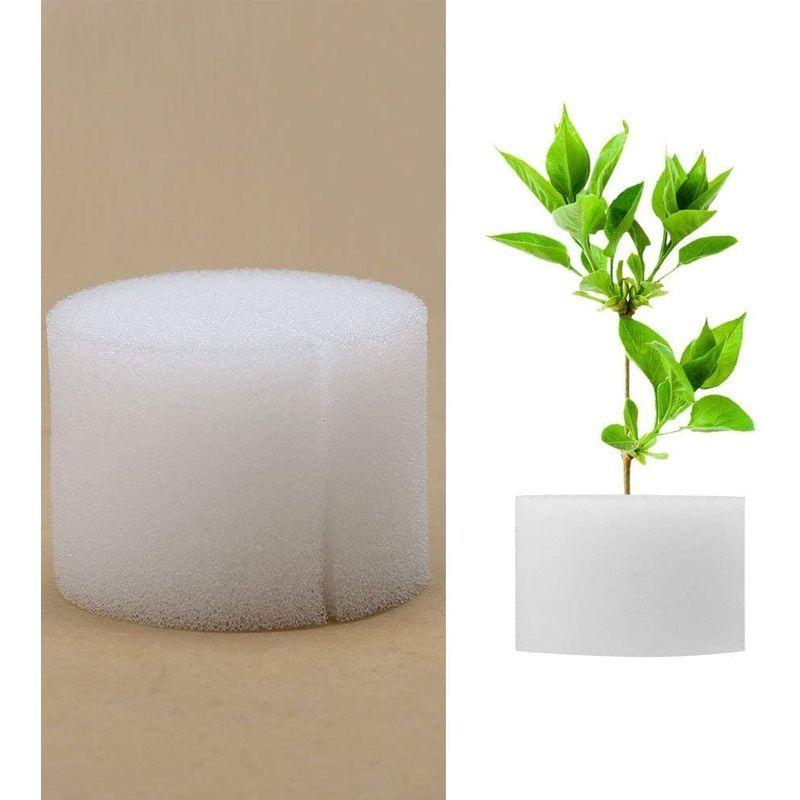 50個入り水耕栽培スポンジ 水耕栽培 土壌なし 種子植物 植物 保育園 植え スポンジ 除草ツール ソアレス 32 30mm