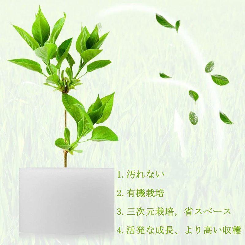 50個入り水耕栽培スポンジ 水耕栽培 土壌なし 種子植物 植物 保育園 植え スポンジ 除草ツール ソアレス 32 30mm