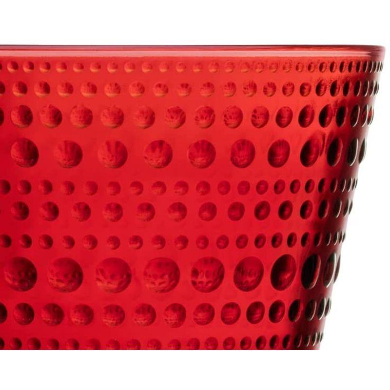 殿堂 Iittala イッタラ タンブラー クランベリー 300ml タンブラー Testingwebsitedesign Com