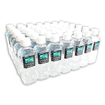安い ハワイウォーター Hawaii Water ペットボトル 240ml 42本 気質アップ Inkagoldmusic Com