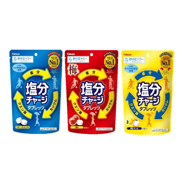 4種 約100粒)カバヤ 森永 塩分チャージタブレッツ 約100粒 大容量