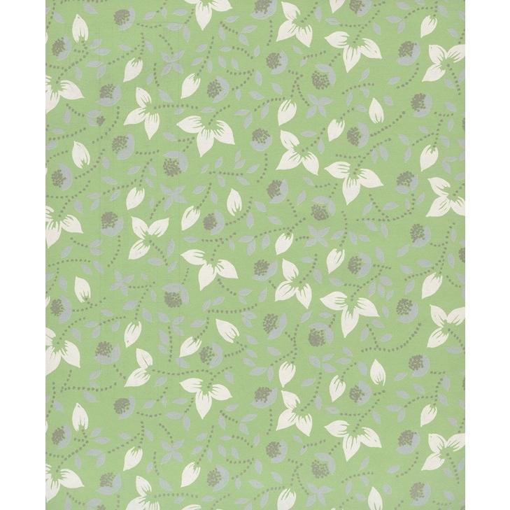 代引き手数料無料 ラッピングペーパー 包装紙 ラフィーネグリーン 緑 野原 四六全判 300枚 史上最も激安 Www Fiscaliaguerrero Gob Mx