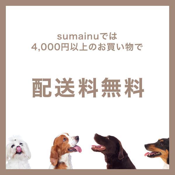 イタグレ グッズ プレゼント ギフト DENSCRAFT Dog@CUBE ウ●チング ハンドメイド フィギュア インテリア スマイヌ 犬用品｜shop-sumainu｜10