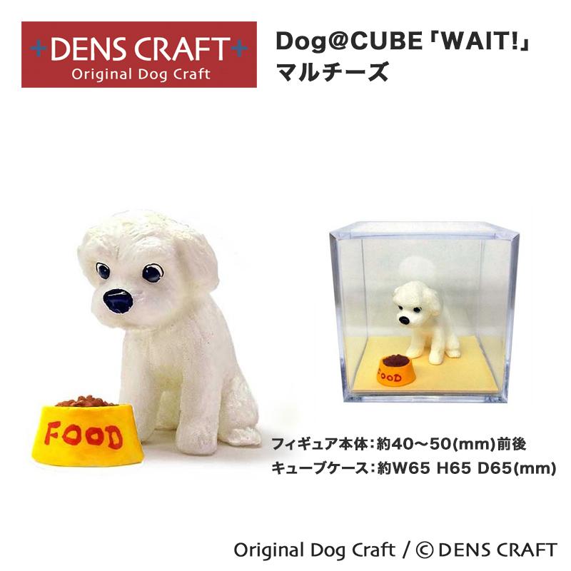 マルチーズ グッズ プレゼント ギフト DENSCRAFT Dog@CUBE WAIT