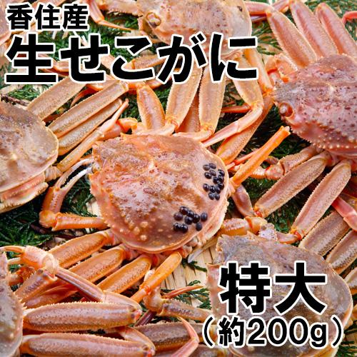 どんちゃん様ご専用 R5年度新米 愛媛県産にこまる 天日干し米