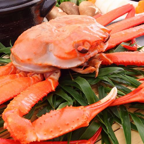 訳あり 香住産 茹で香住がに 2匹入 約800g 送料無料 ベニズワイガニ 紅ずわいがに 紅ズワイガニ 香住ガニ カニ かに 蟹 お取り寄せ 産地直送 ギフト 株式会社宿院商店 通販 Yahoo ショッピング