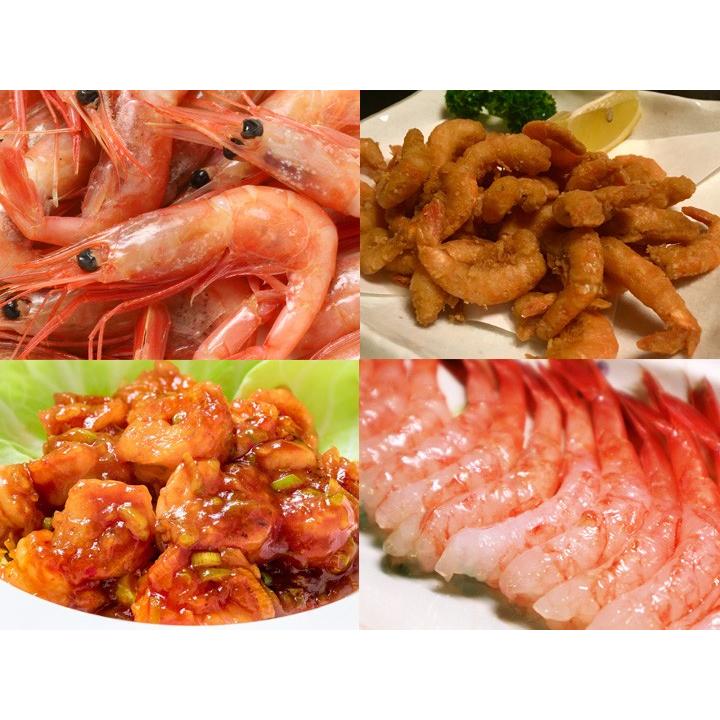 香住産 刺身用 甘えび 約700g 30〜40尾前後 送料無料 アマエビ あまえび 甘エビ 甘海老 えび エビ 海老 海鮮 お取り寄せ ギフト |  | 04