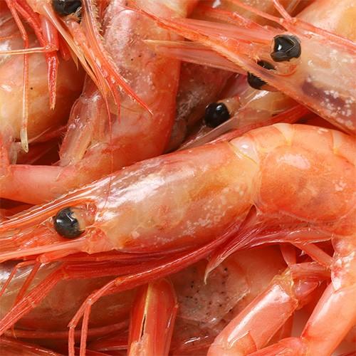 香住産 刺身用 甘えび 約700g 30〜40尾前後 送料無料 アマエビ