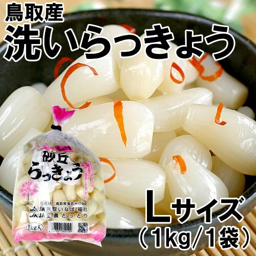 鳥取産 洗いらっきょう L 1kg : 株式会社宿院商店 - 通販 - Yahoo