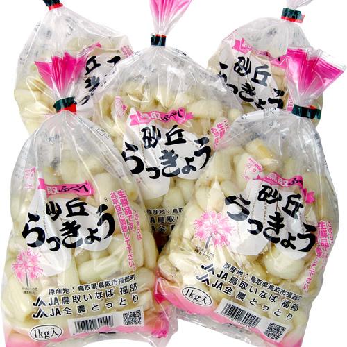 鳥取産 洗いらっきょう S 5kg 送料無料 : 株式会社宿院商店 - 通販