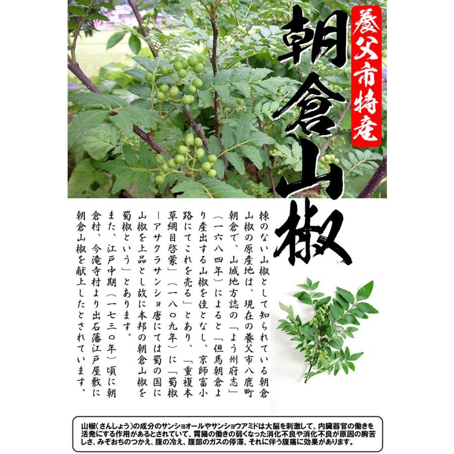 朝倉山椒　約200cm 根巻【アサクラサンショウ/実山椒/山椒/ハジカミ】49 養父市特産 朝倉山椒 実山椒 約500g 山椒 山椒の実 5月中旬以降お届け