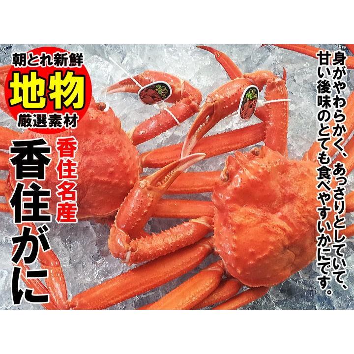 香住産 茹で香住がに 2〜3匹入 約1.5kg 送料無料 ベニズワイガニ 紅ずわいがに 紅ズワイガニ 香住ガニ カニ かに 蟹 お取り寄せ 産地直送 ギフトの画像
