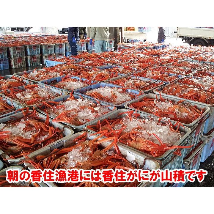 香住産 茹で香住がに 2〜3匹入 約1.5kg 送料無料 ベニズワイガニ 紅ずわいがに 紅ズワイガニ 香住ガニ カニ かに 蟹 お取り寄せ 産地直送 ギフトの画像