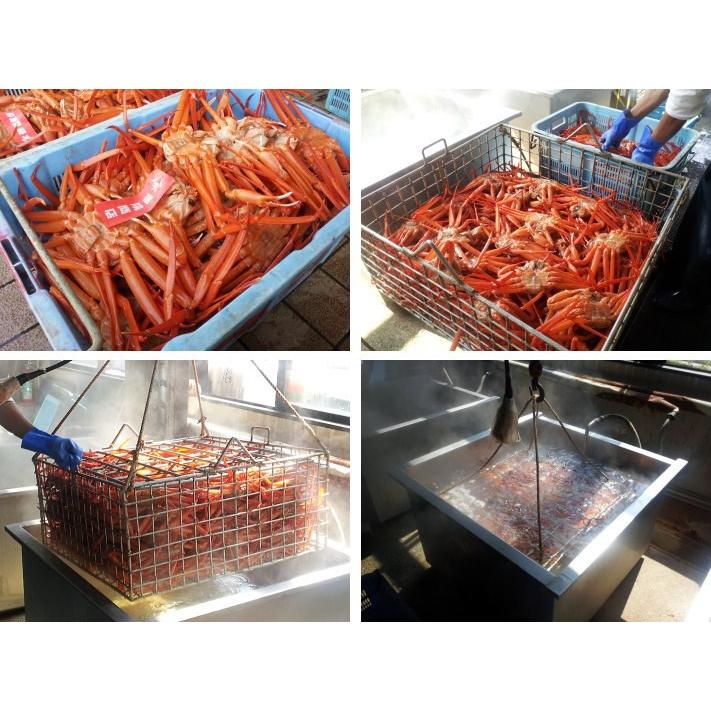 香住産 茹で香住がに 2〜3匹入 約1.5kg 送料無料 ベニズワイガニ 紅ずわいがに 紅ズワイガニ 香住ガニ カニ かに 蟹 お取り寄せ 産地直送 ギフトの画像