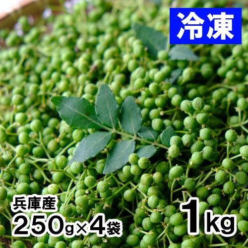 兵庫産 冷凍実山椒 1kg 送料無料 あく抜き済 山椒 山椒の実 実山椒
