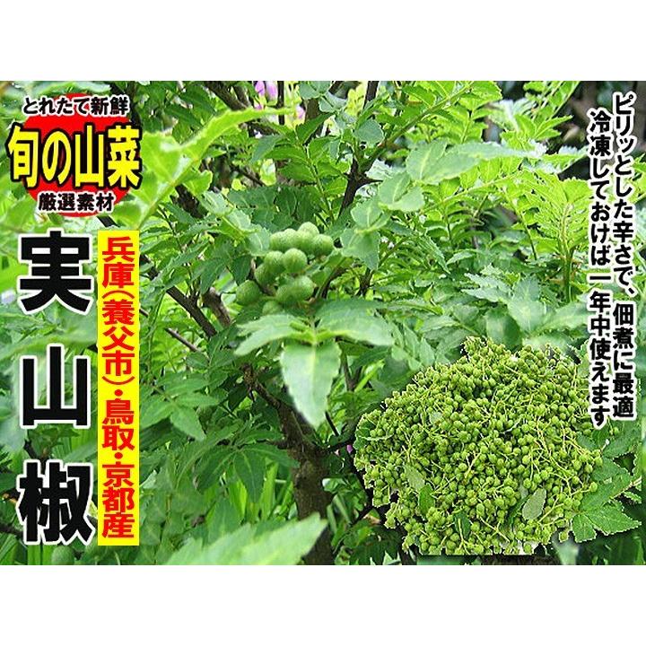 兵庫産 実山椒 約1kg 送料無料 山椒 山椒の実 5月下旬以降お届け予定