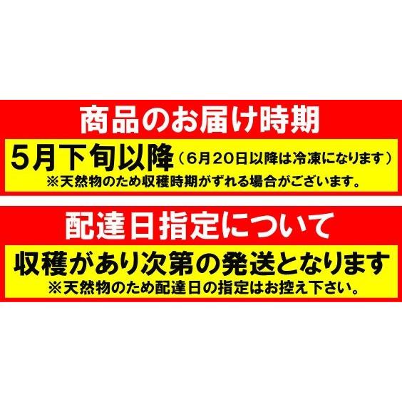 兵庫産 実山椒 約1kg 送料無料 山椒 山椒の実 5月下旬以降お届け予定