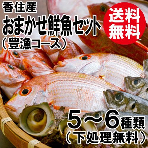 おまかせ鮮魚セット 豊漁コース 5〜6種類 刺身用中心 送料無料 おまかせ鮮魚セット 豊漁コース 5〜6種類 刺身用中心 送料無料