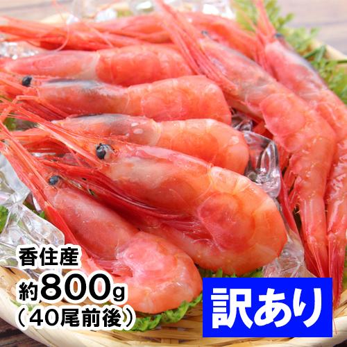 訳あり 香住産 刺身用 甘えび 約800g 40尾前後 送料無料 アマエビ あま