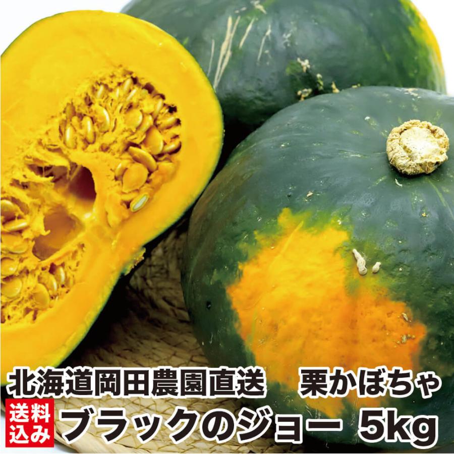期間限定】北海道産 かぼちゃ ブラックのジョー 5kg (2~5玉 個数指定