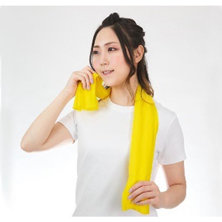 ☆超絶爽快!! HANSHIN Tigers Version スーパーロングサイズ ウエット