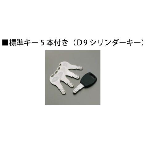 三協アルミ　玄関ドア　鍵交換用シリンダー2個セット　D9キー　デライト　ラフォースシリーズ　プロディ　GOAL　WD5118　モダーニ　ナチュレ　フレディア　STK