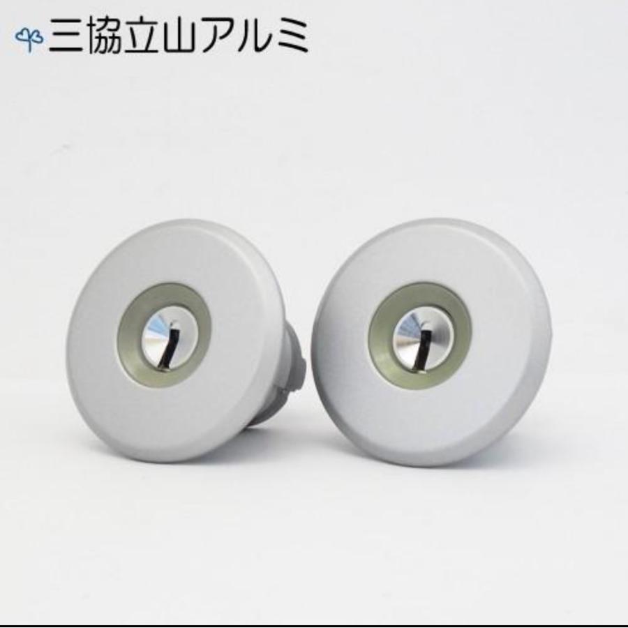 三協アルミ 玄関ドア 鍵交換用シリンダー GOAL STK D9キー シルバー色