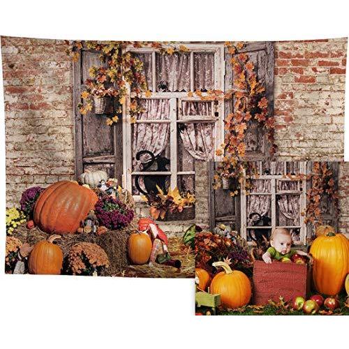 Allenjoy 秋の窓用背景幕 全国宅配無料