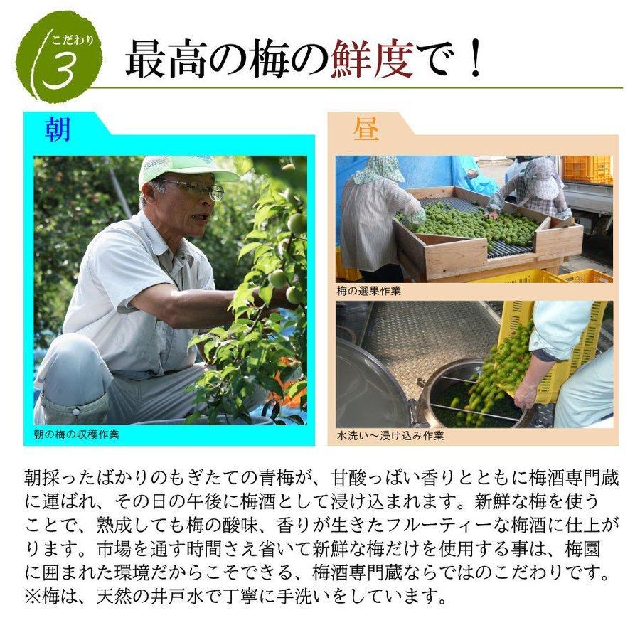 梅酒 南高梅のこだわり梅酒 ( 1800ml ) 1ケース 6本入 南高梅 お得なケース販売父の日 ギフト プレゼント 【公式】 おおやま夢工房|shop-umehibiki|05