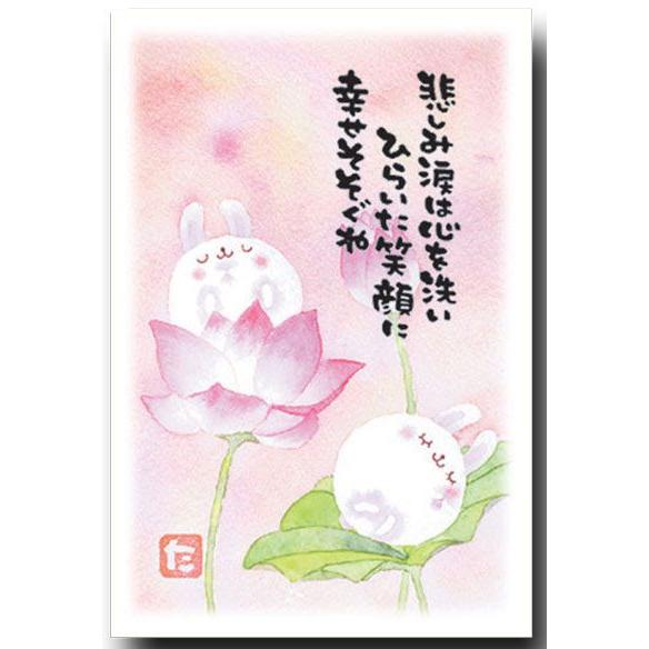 癒やされるメッセージ入りポストカード 蓮うさぎ マエダタカユキ