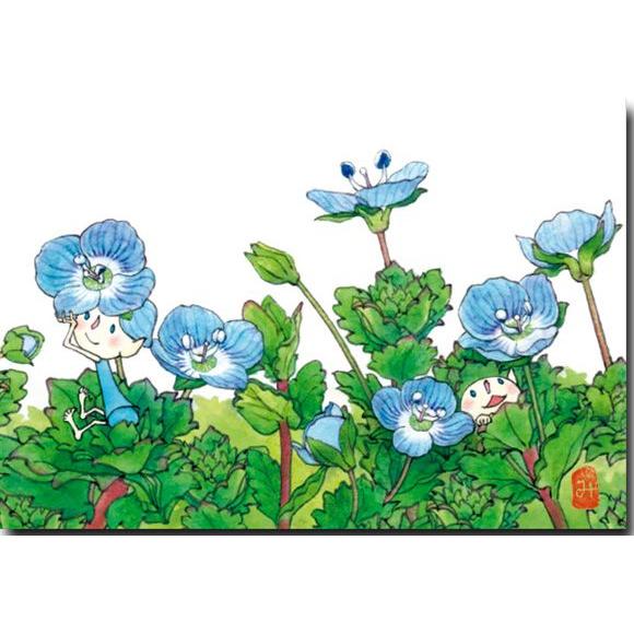 花のポストカード 瑠璃唐草 可愛いイラスト 絵葉書 19 1102 ポストカードと和雑貨の和道楽 通販 Yahoo ショッピング