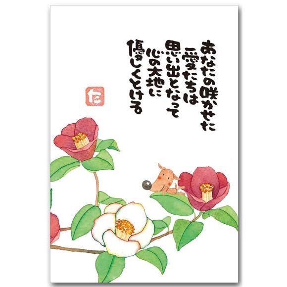 まえだたかゆきポストカード 椿 メッセージ絵葉書 67 326 ポストカードと和雑貨の和道楽 通販 Yahoo ショッピング