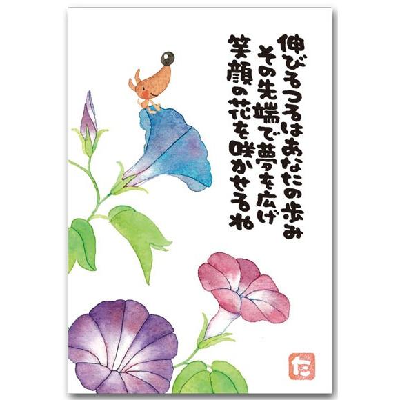 まえだたかゆきポストカード 朝顔 メッセージ絵葉書 67 327 ポストカードと和雑貨の和道楽 通販 Yahoo ショッピング