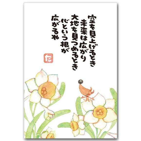 まえだたかゆきポストカード 水仙 メッセージ絵葉書 : ポストカードと