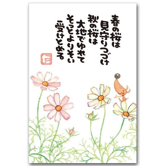 まえだたかゆきポストカード 秋桜 メッセージ絵葉書｜shop-wadouraku