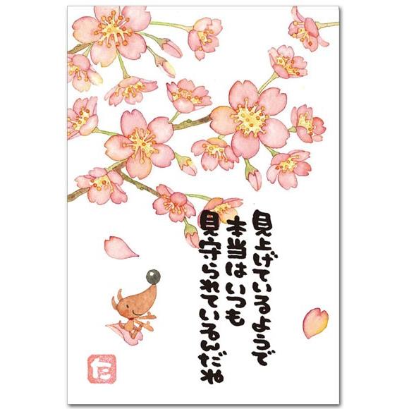 まえだたかゆきポストカード 桜 見守られているんだね メッセージ絵葉書 67 335 ポストカードと和雑貨の和道楽 通販 Yahoo ショッピング