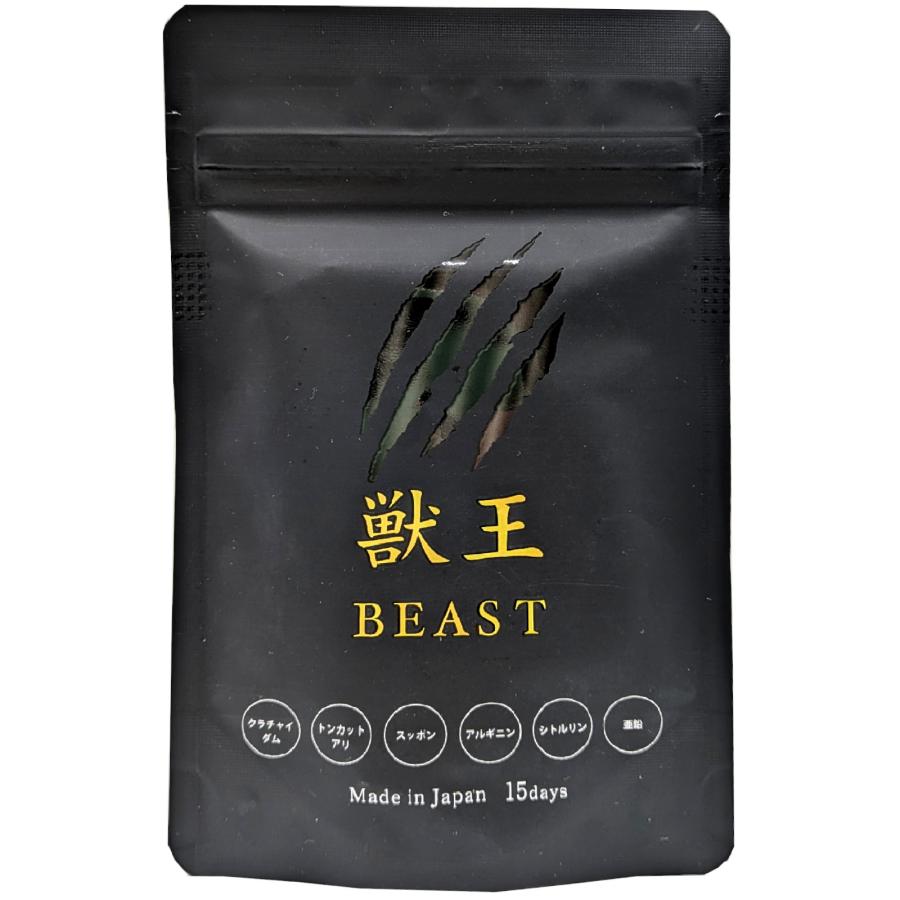 獣王beast 獣王 サプリ 獣王ビースト 15日分 45粒 亜鉛 メンズサプリ 
