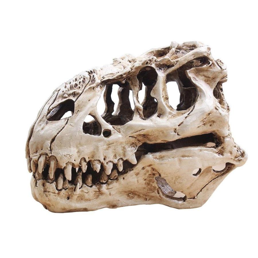 推奨 恐竜の頭蓋骨のレプリカ☆アクアリウム 鑑賞魚 水槽 即発送可能 装飾 グッズ 置物 インテリア 化石 ユニーク 白 珍しい T-Rex
