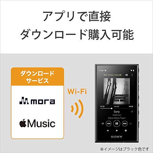 ポータブルプレーヤー SONY WALKMAN NW-A107 WALKMAN メーカー1年保証 SONY ポータブルプレーヤー NW-A107