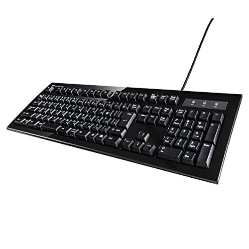 サンワサプライ メカニカルキーボード チェリー社製スイッチ採用 109A  