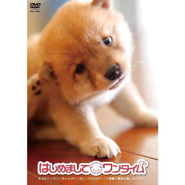 はじめまして ワンタイム | 