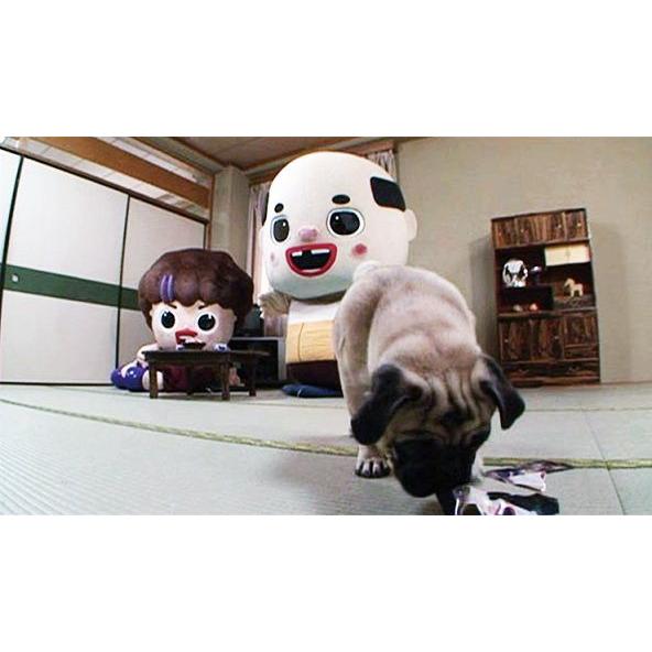 尼崎のちっちゃいおっさん 略して 尼ちゃんDVD |  | 03
