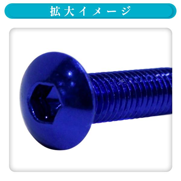 ю メール便 M5 デザインカラー スクリーンボルト 一式 10本 ブルー ZX