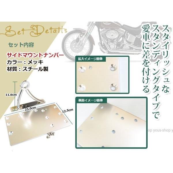 マグナ250用サイドマウントLEDライセンスライト&ナンバープレートKIT