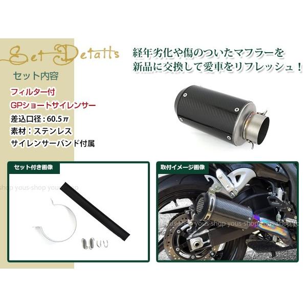 GSX1400 GSF1200 TL1000S GS1200SS GSX-R1100 60.5π GPショート