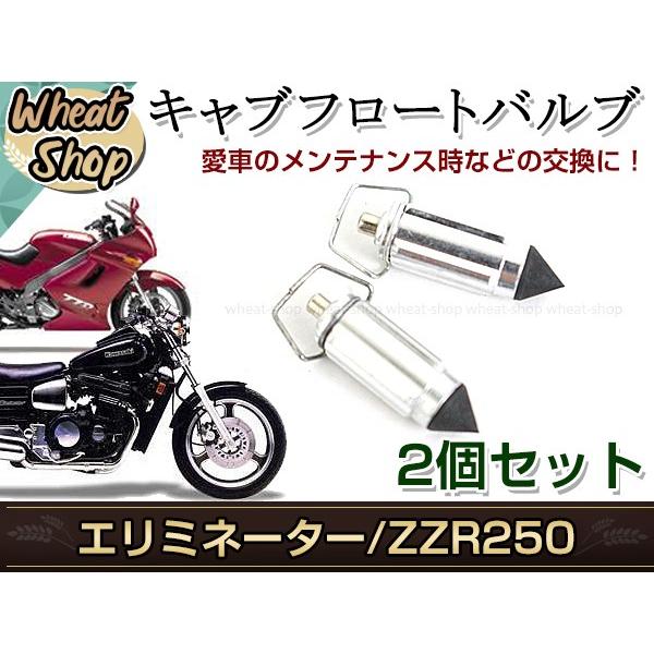 バルカン400 KLE250 EX-4 フロートバルブ CVキャブ 2個セット シルバー