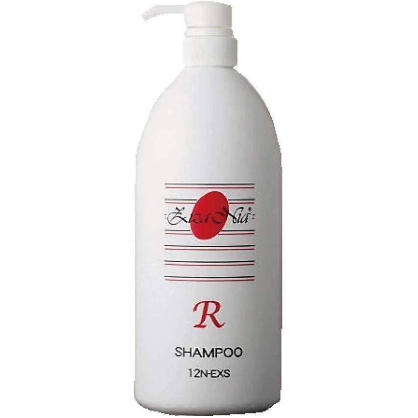 ジザニアシャンプー R 12N-EXS 1000ml　徳用 ジザニア シャンプーR お得用1,000ml : 恵比寿家 - 通販 - Yahoo