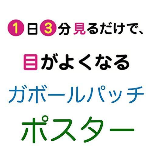 視力検査表ポスター 視力回復 ガボールパッチ D2 0616 233 恵比寿家 通販 Yahoo ショッピング